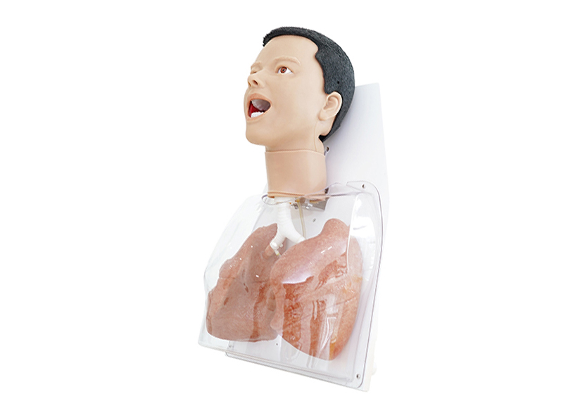 支气管内镜训练平台2.0