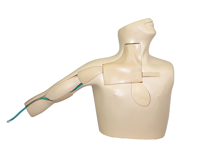 中心静脉置管术训练平台 2.0