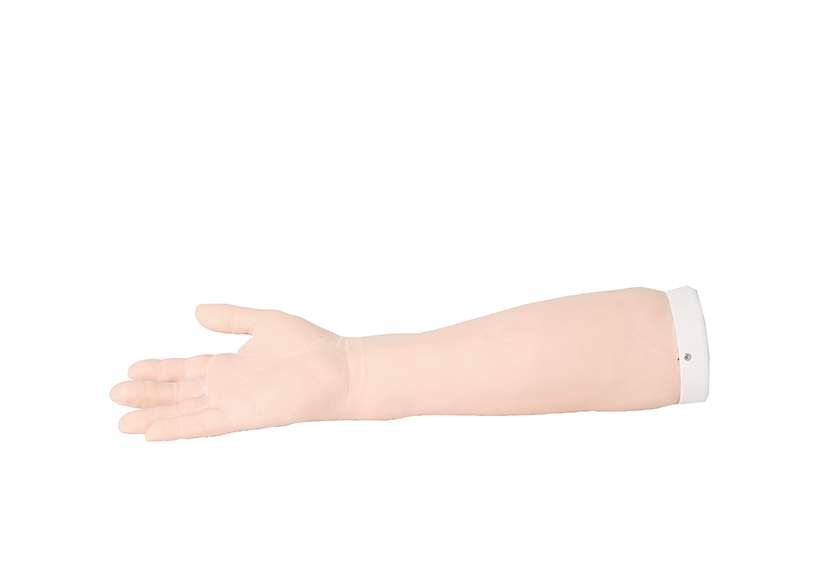 腕关节穿刺模型