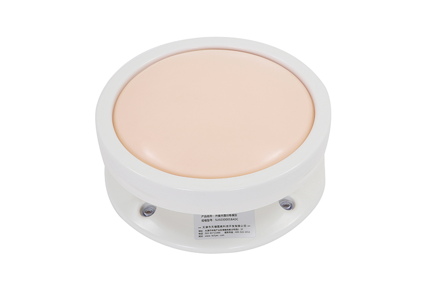 开腹关腹训练模型