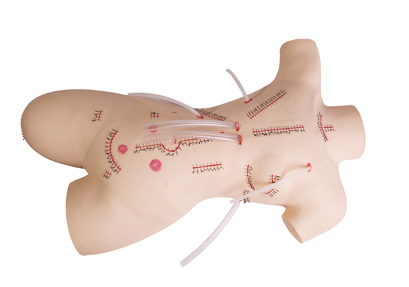 术前无菌操作训练仿真模型人