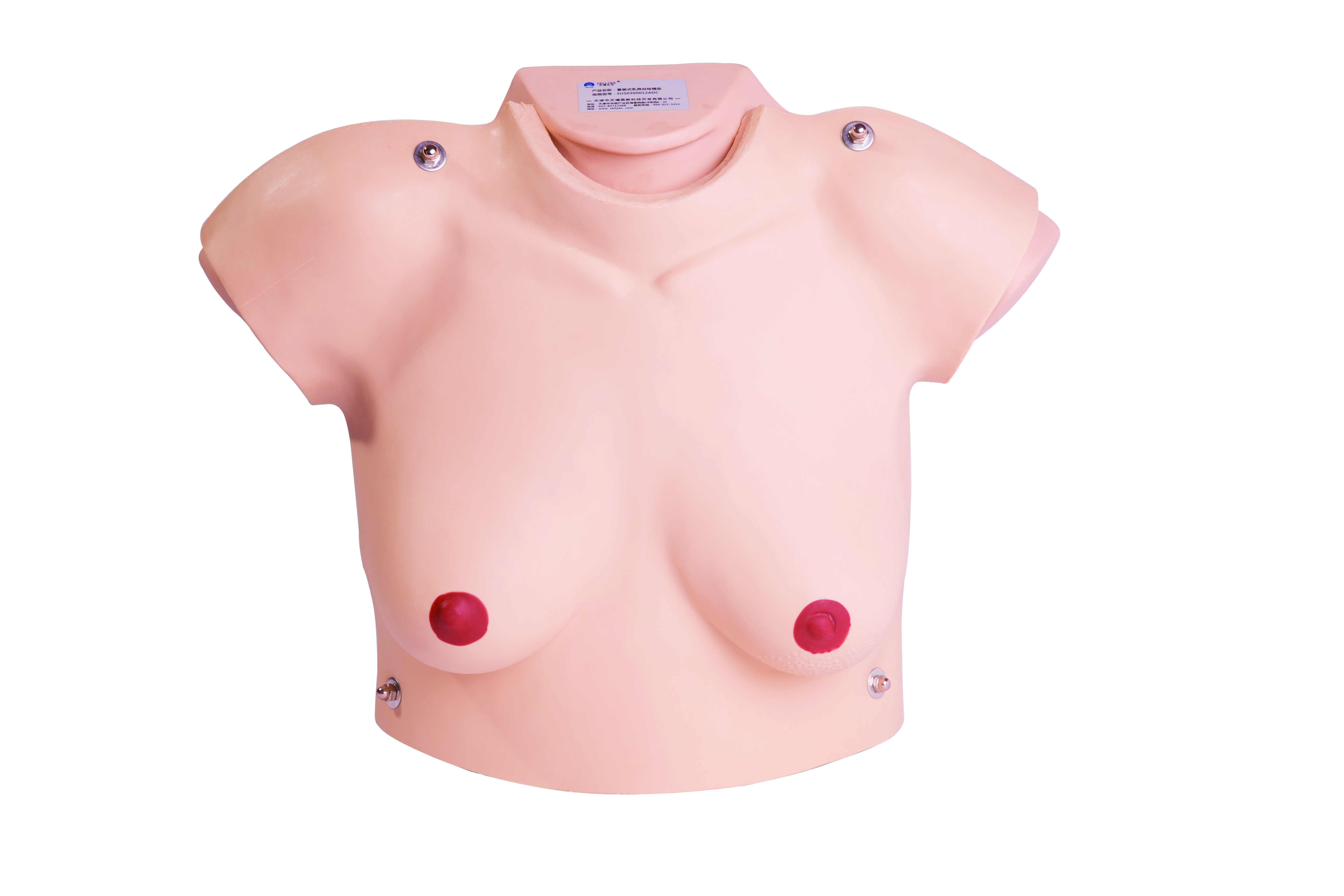 乳房自检平台 2.0