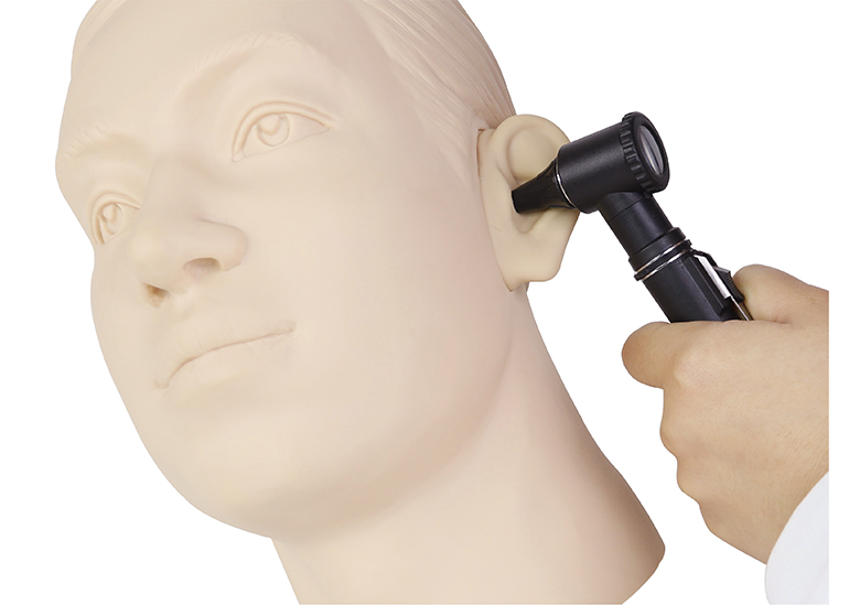 耳内检查模型（双侧）