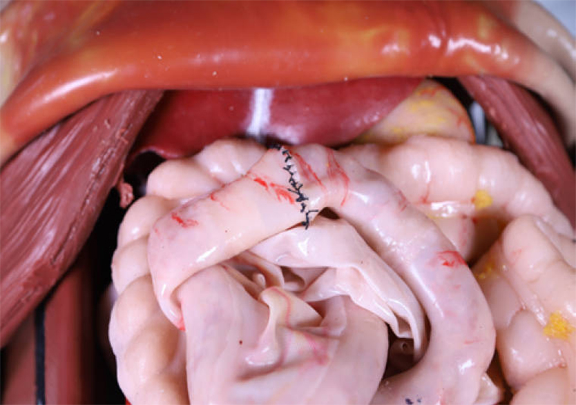 穿戴式胸腹手术训练套装平台 3.0