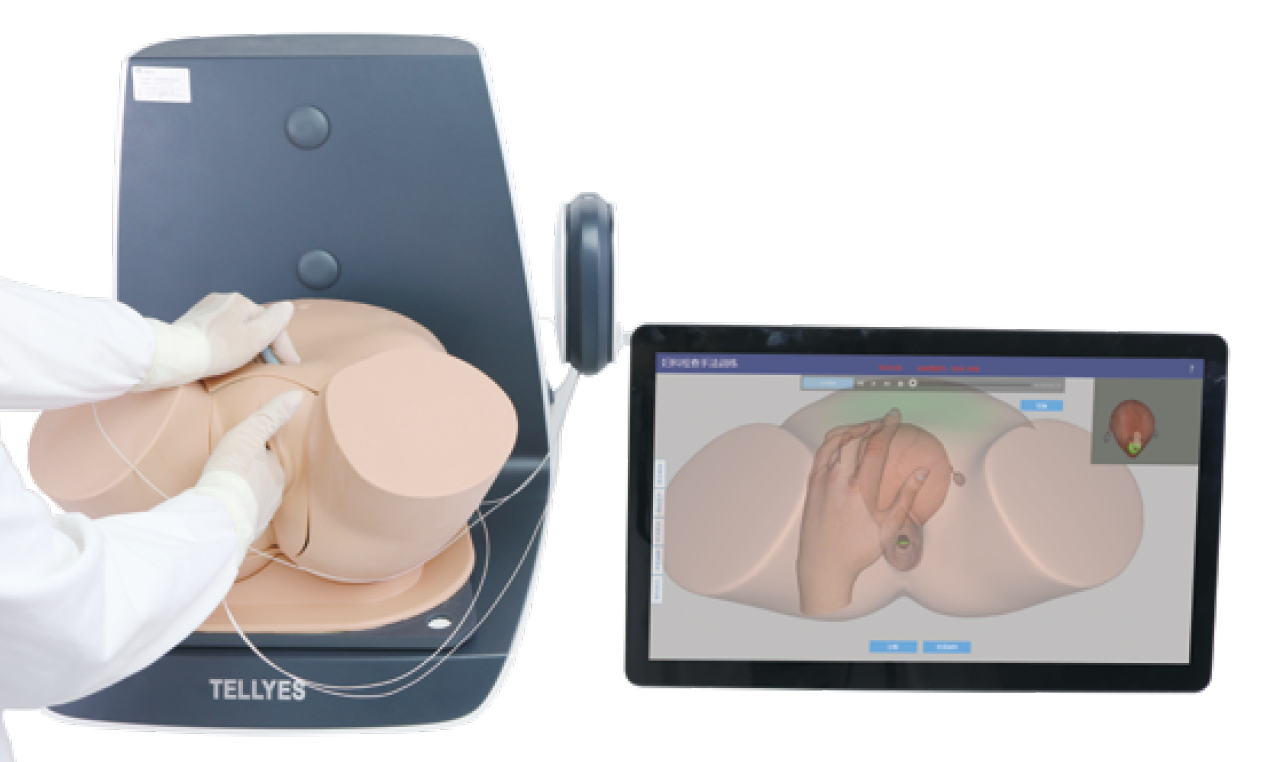 妇科检查虚拟训练系统1.0